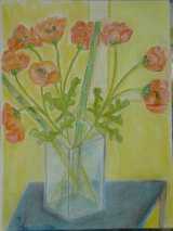 Mohnblume